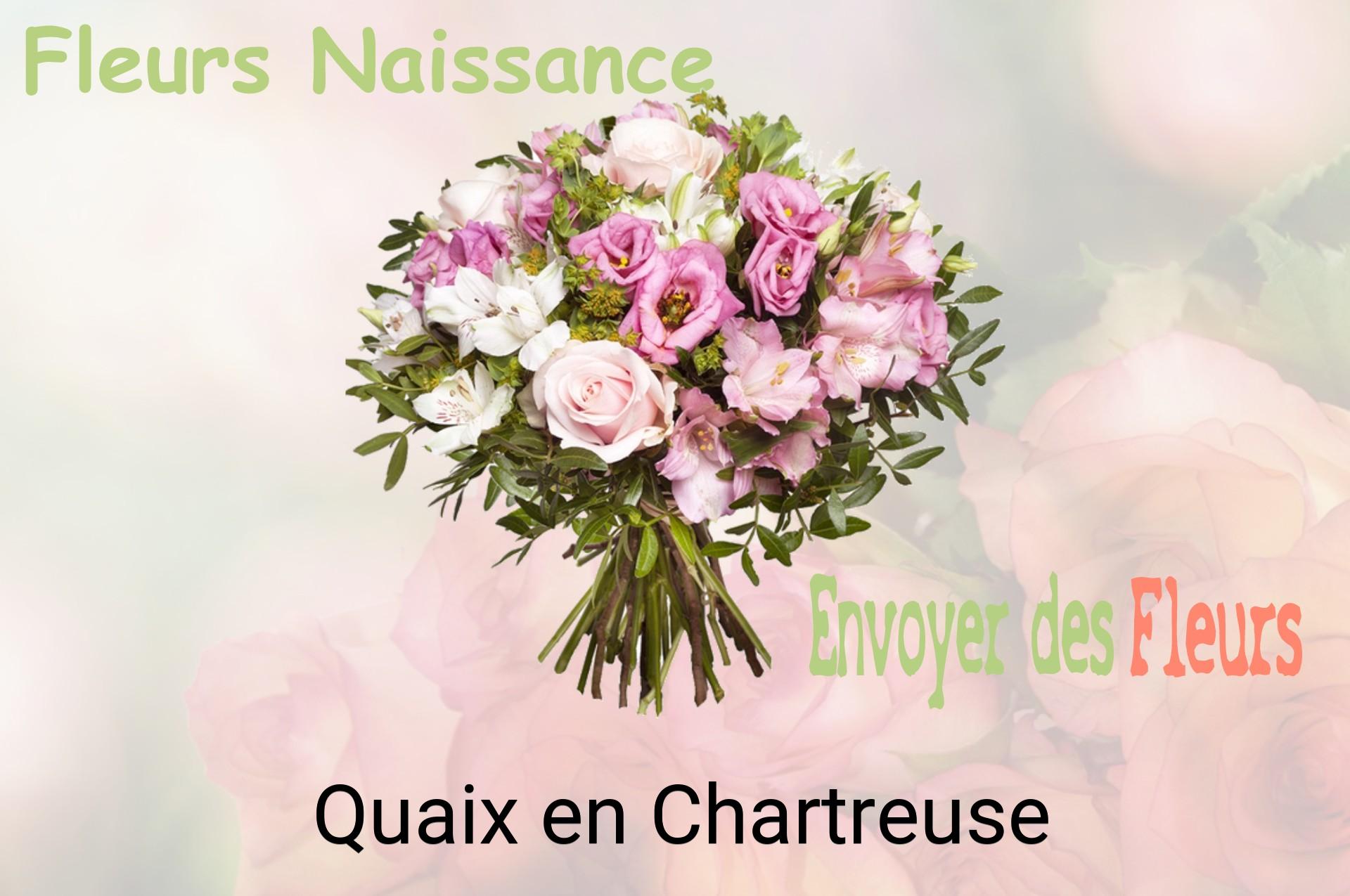 Bouquet de fleurs de naissance livré à Quaix-en-Chartreuse